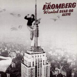 ดาวน์โหลดและฟังเพลง Danger Man (Album Version) พร้อมเนื้อเพลงจาก David Bromberg