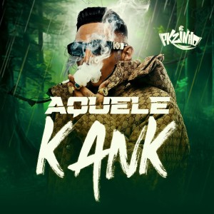 Listen to AQUELE KANK (Explicit) song with lyrics from MC Pkzinho