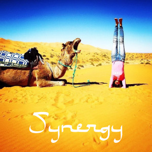 อัลบัม Synergy ศิลปิน Electro Dub Tango