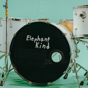 Dengarkan lagu Pleaser nyanyian Elephant Kind dengan lirik