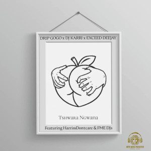 ดาวน์โหลดและฟังเพลง Tshwara Ngwana (Explicit) พร้อมเนื้อเพลงจาก Drip Gogo