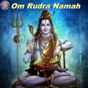 ดาวน์โหลดและฟังเพลง Purusha Suktam Shiva พร้อมเนื้อเพลงจาก Vighnesh Ghanapaathi