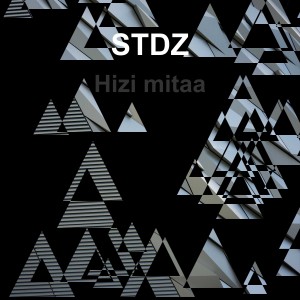 STDz的專輯Hizi Mitaa (Explicit)