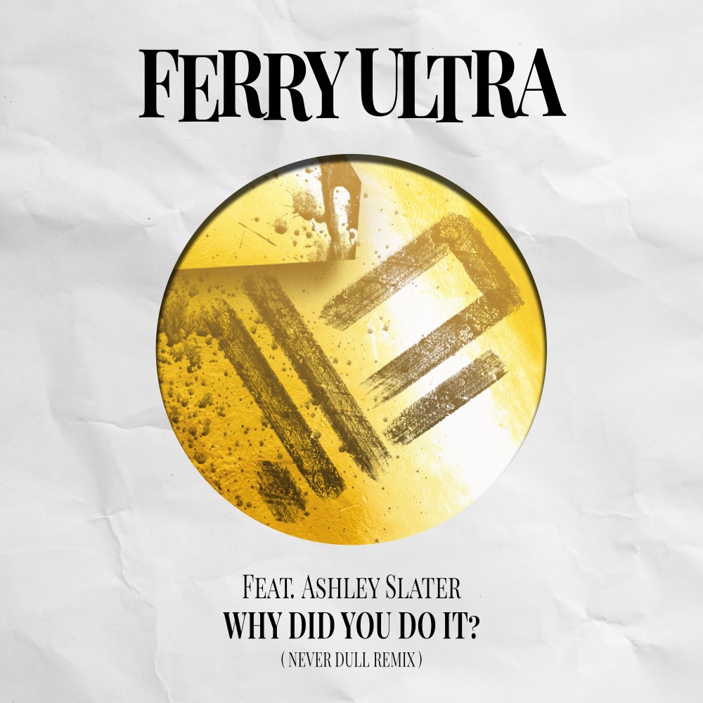 Why Did You Do It (Never Dull Extended Remix)