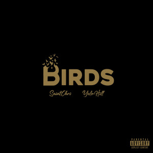 Listen to Birds (Explicit) song with lyrics from Saint Chri