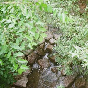 ดาวน์โหลดและฟังเพลง Above It All พร้อมเนื้อเพลงจาก Panpsyche