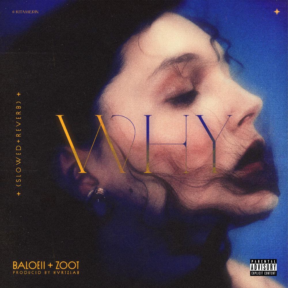 why(feat. Zoot)(slowed + reverb)