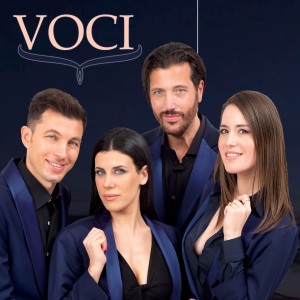 Listen to STRANGERS IN THE NIGHT song with lyrics from Voci