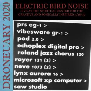 Listen to Live at the Spiritual Center for the Creative and Sonically Inspired (Live) song with lyrics from Electric Bird Noise