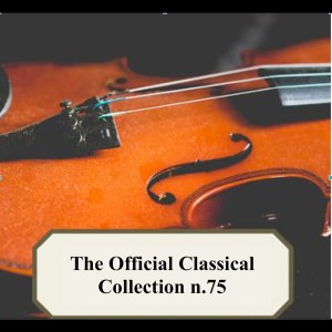 Listen to Concerto per viola d'amore in la maggiore, RV 396_ Allegro II song with lyrics from Musical Ensemble