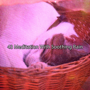 อัลบัม 43 Meditation With Soothing Rain ศิลปิน Lounge relax