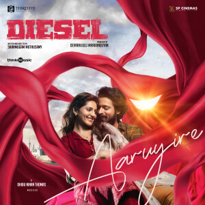 收听Dhibu Ninan Thomas的Aaruyire (From "Diesel")歌词歌曲