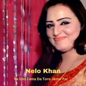 Listen to Sa Sho Zama Da Toro Jamo Yar song with lyrics from Nelo Khan