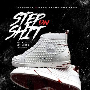 Album Step On Shit (feat. Baby Stone Gorillas) (Explicit) from Baby Stone Gorillas