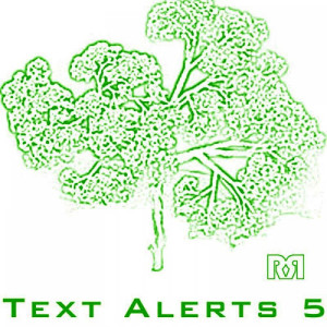 อัลบัม Text Ringtones 5 ศิลปิน Ringtones By Ringtone Records