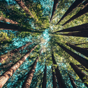 Dengarkan Practice and Patience lagu dari Study Music Library dengan lirik