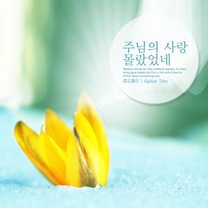 Listen to I did not know your love. song with lyrics from 로드웨이