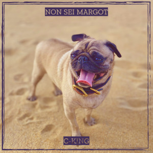 Listen to Non sei Margot song with lyrics from C-King