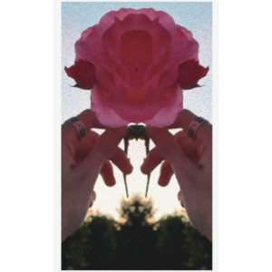 收听Ryvers的Roses Are Sunshine (Explicit)歌词歌曲