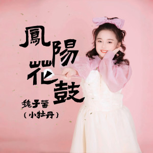 Listen to 凤阳花鼓 song with lyrics from 山娃娃
