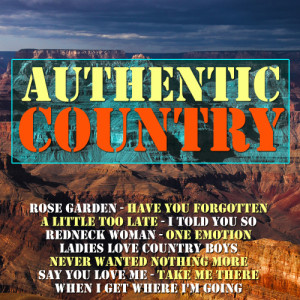 ดาวน์โหลดและฟังเพลง I Like It I Love It พร้อมเนื้อเพลงจาก Big Band Country
