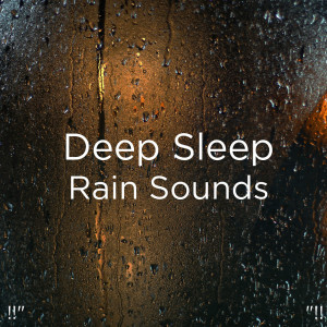 收聽Rain Sounds的環境聲音歌詞歌曲