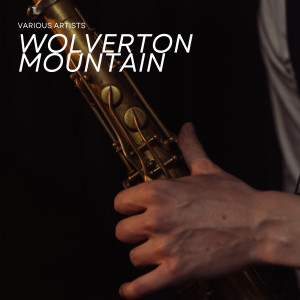 Listen to Mountain City Blues song with lyrics from Clarence Williams' Orchestra