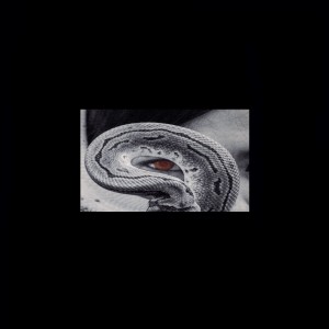 收聽Shaper的Serpent歌詞歌曲
