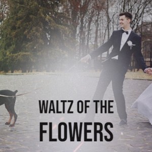 收听Duke Ellington的Waltz of the Flowers歌词歌曲