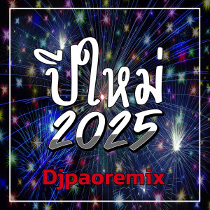 อัลบัม ปีใหม่ 2025 ศิลปิน Djpaoremix