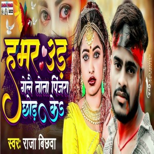 Listen to Hamar Ud Gelai Tota Pinjra Chhod Ke song with lyrics from Raja Bichhawa