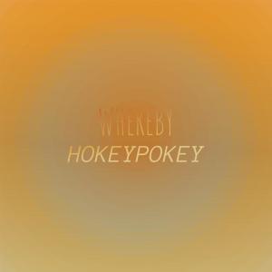 Various Artists的专辑Whereby Hokeypokey