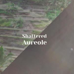 Album Shattered Aureole from Various