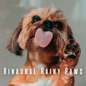 Binaural Rainy Paws: Theta Waves for Relaxing Pet Experience