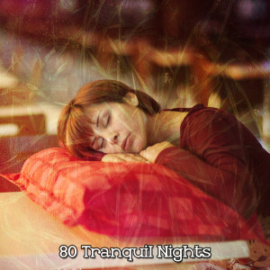 Album 80 Tranquil Nights oleh Baby Nap Time