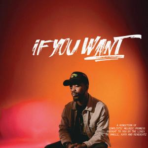 Smallz的專輯If You Want (feat. Kayo) [Explicit]