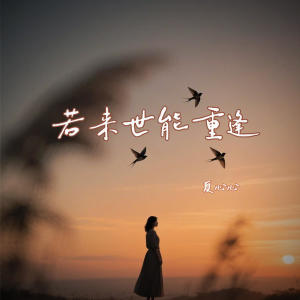 Listen to 若来世能重逢 song with lyrics from 夏心心
