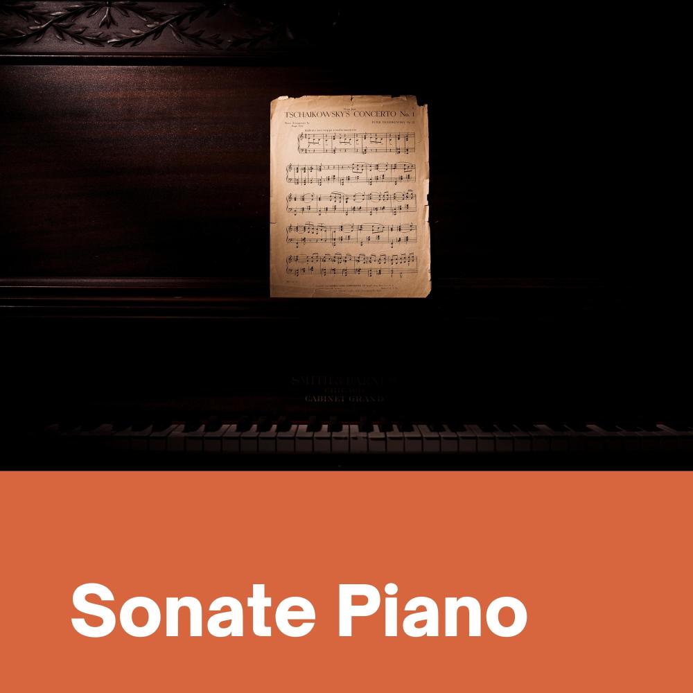 Sonate Violoncello Piano No. 3 A Major , Op. 69 : I. Allegro ma non tanto