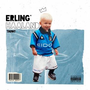 收聽Tarot的هالاند歌詞歌曲