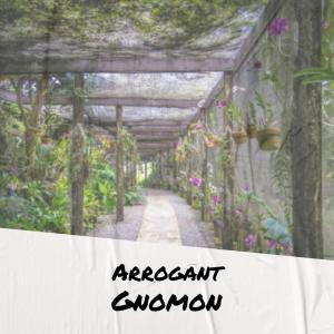Listen to Arrogant Gnomon song with lyrics from Mohale Lamin