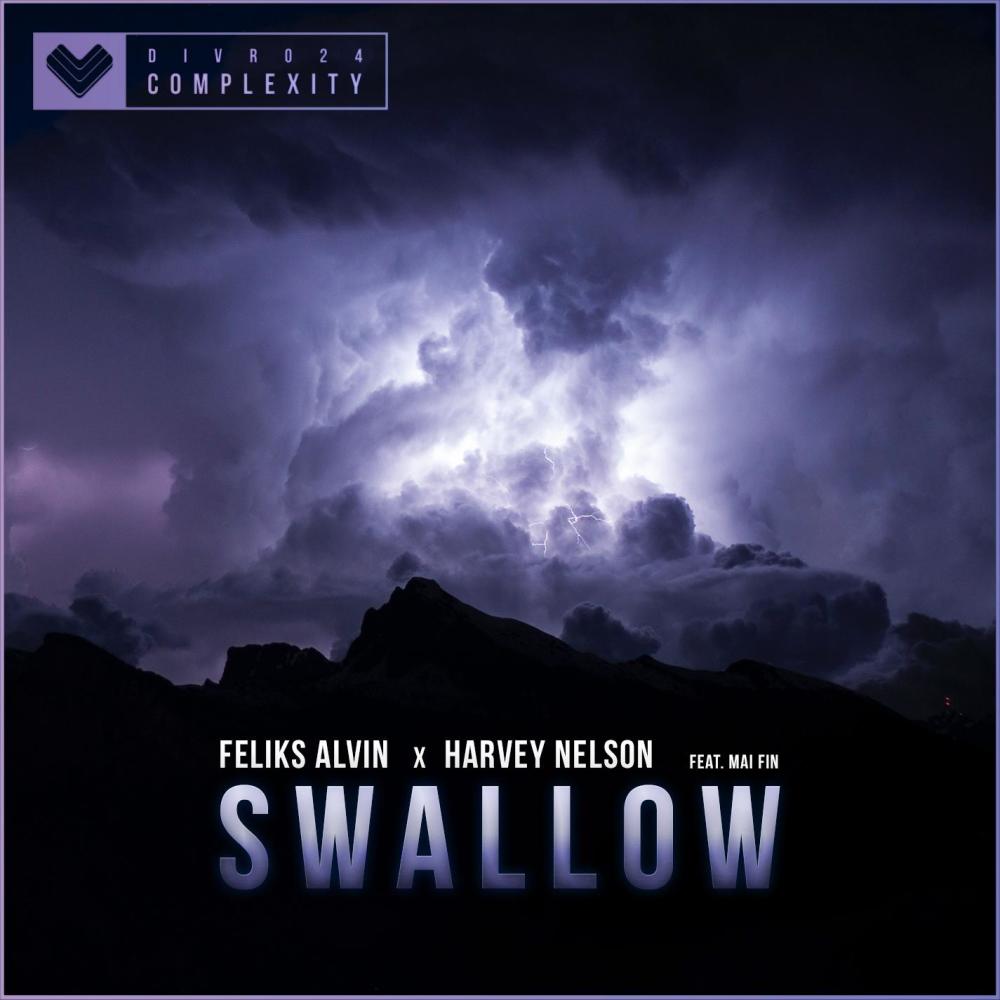 Swallow(feat. Mai Fin)
