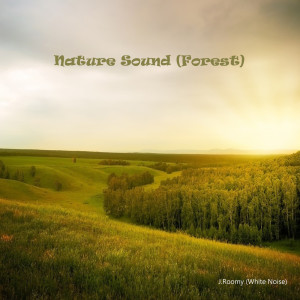 ดาวน์โหลดและฟังเพลง Forest Sound (ASMR, Nature Sound) พร้อมเนื้อเพลงจาก J.Roomy
