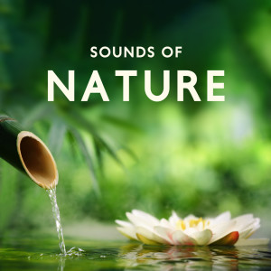 Album Sounds of Nature (Instrumental Melodies for Relax, Meditation, Spa and Sleep Aid) from 
