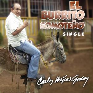 Album El Burrito Somoteño from 