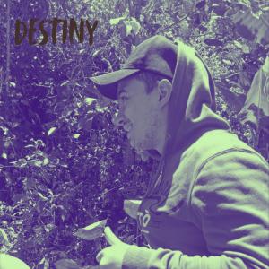 Listen to Destiny song with lyrics from Vandal