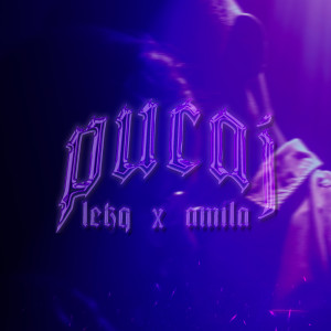 Album Pucaj from Lekq
