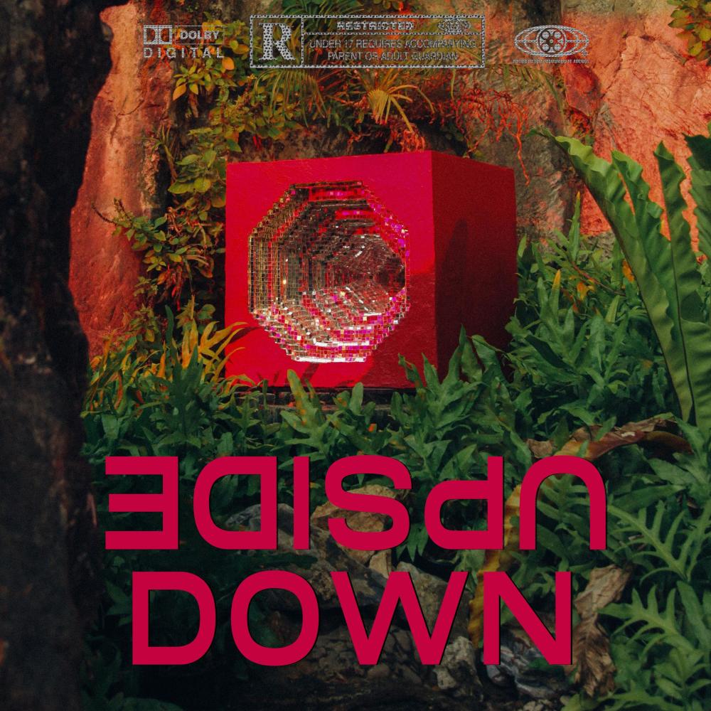 UPSIDE DOWN