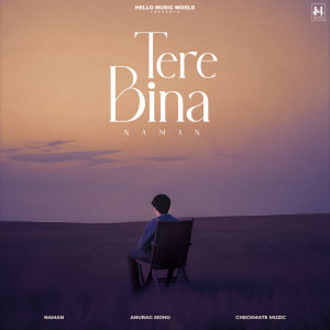 Album Tere Bina from Naman