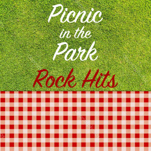 Album Picnic in the Park Rock Hits from Various Artists