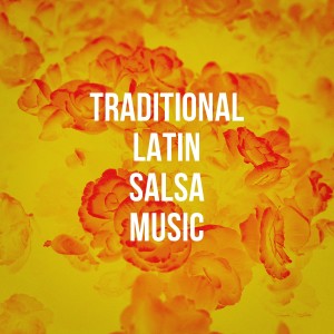 Bachata Salvaje的专辑Traditional Latin Salsa Music